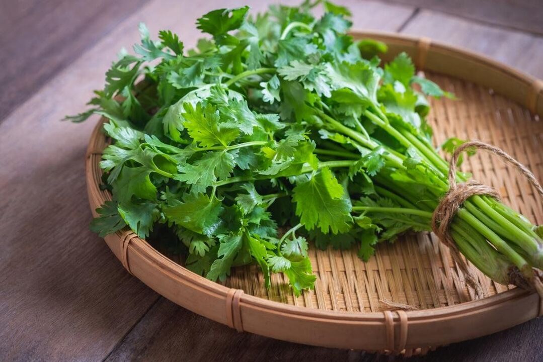 cilantro to increase potency