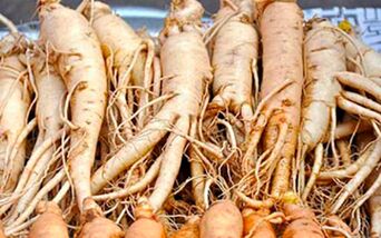 Ginseng root will help stimulate the sexual activity of a man